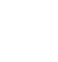phone_icon